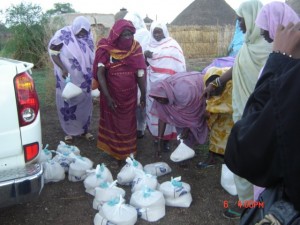 Women in Sudan. Credit: Zenab for Women in Development.