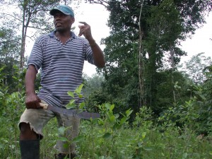 This Afro-Colombian farmer in the southern Pacific coastal province of Nariño tells how even small subsistence patches of coca like his have been subjected to heavy aerial fumigation. Credit: Sanho Tree