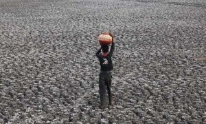 Water shortages in India