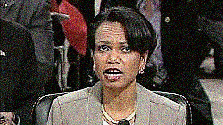 Depth of Republican Enthusiasm for Condi Rice Matched by Lack Thereof for Romney