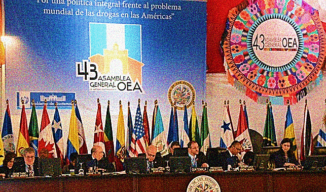 Finally — Pride of Place for Drug Policy at the OAS General Assembly Meeting