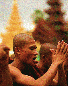 Buddhist monk-rakhine Muslims