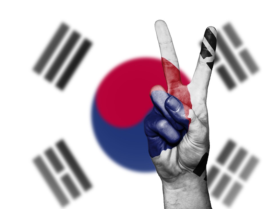 south-korea-peace-flag