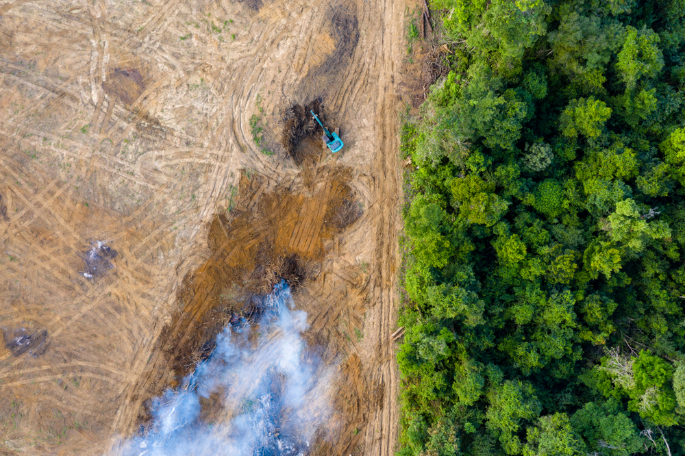 Who’s Burning the Amazon?